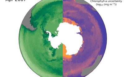 A New Global Chlorophyll-a Data Record(link and animation)