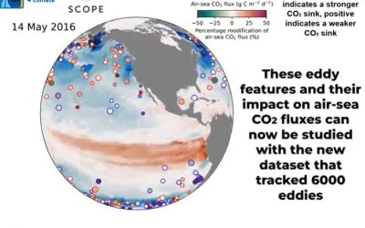 New global long-lived mesoscale eddies dataset highlights that mesoscale eddies enhance CO2 uptake