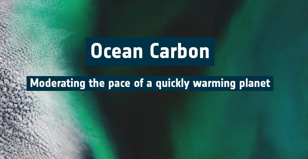 Explore Ocean Carbon through our interactive story