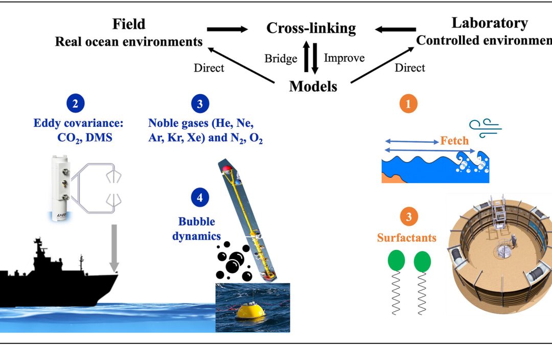 New Article: The Role of Bubbles in Air-Sea Gas Exchange: A Critical Review